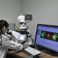 藝術(shù)材料和玩具TRA毒理性風(fēng)險評估報告辦理