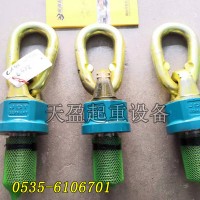 天津萬向吊環(huán)公司推薦,天盈起重TP型德國JDT萬向吊環(huán)