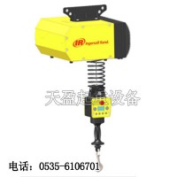 EIW132120智能電動(dòng)葫蘆,水泥制造廠(chǎng)用智能電動(dòng)葫蘆