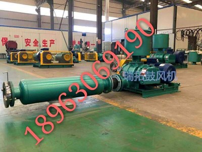 污水處理底部微孔曝氣羅茨風(fēng)機(jī)