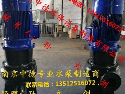長期專業(yè)供應(yīng)南京中德WL立式排污泵，雜質(zhì)泵，渣漿泵，吸砂泵等