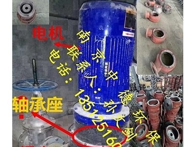 南京中德大量提供WL立式排污泵葉輪、機(jī)封、底座、蝸殼等配件