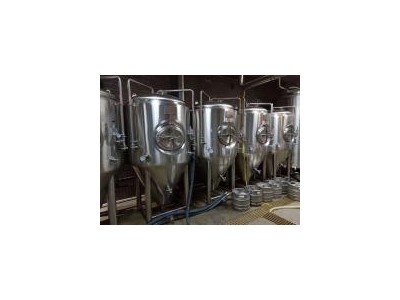 中小型精釀啤酒設(shè)備廠(chǎng)家 釀酒啤酒設(shè)備 500升設(shè)備