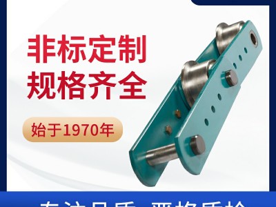 鑄造輸送機(jī)鏈 環(huán)球傳動(dòng) 工程鏈非標(biāo)定制 鏈條廠家