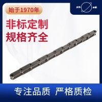 不銹鋼空心銷軸鏈條 環(huán)球鏈條 不銹鋼鏈條 非標(biāo)定制