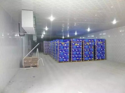 回收二手聚氨酯保溫板上?；厥諑r棉板