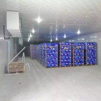 回收二手聚氨酯保溫板二手冷庫板回收上?；厥张f冷庫